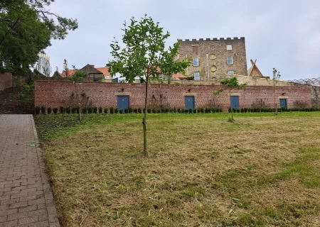 A brick wall and grass in front of Auckland Castle.