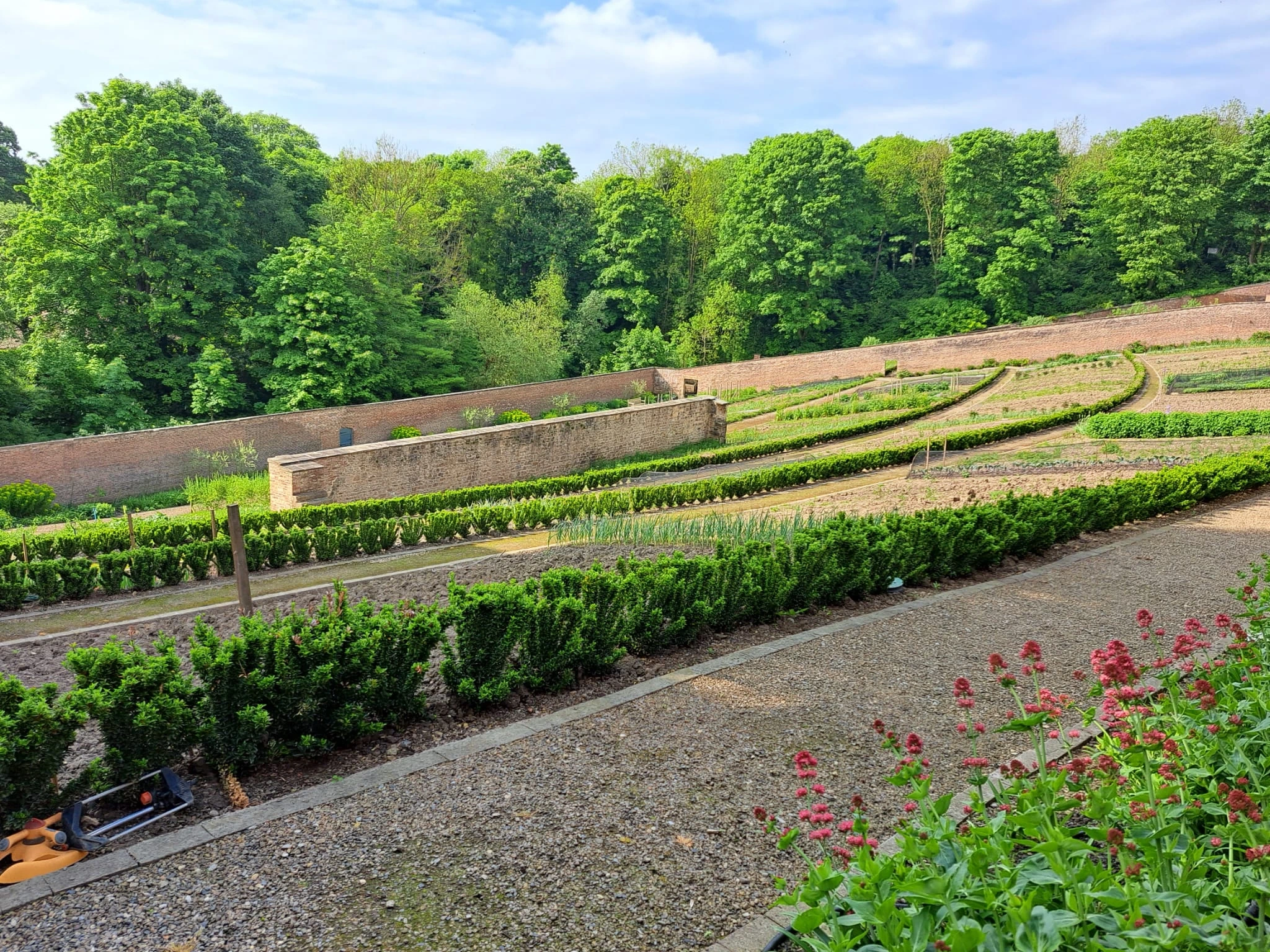 The Grade II listed Walled Garden located at Auckland castle. There are raised beds, gravel paths, tall brick walls, and trees in the background.